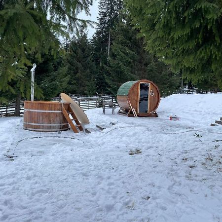 Hotel Floare De Colt Mînăstirea Humorului Exteriér fotografie
