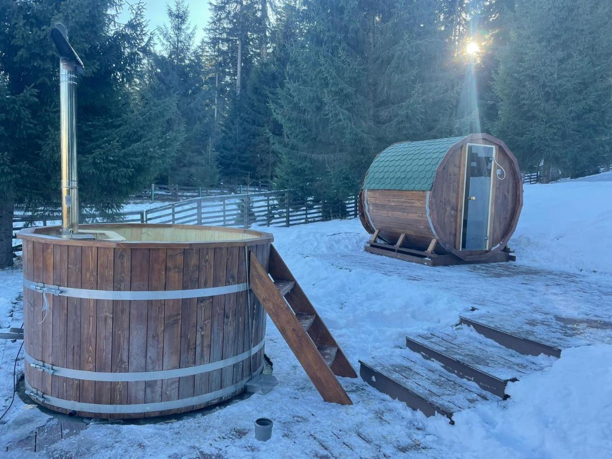Hotel Floare De Colt Mînăstirea Humorului Exteriér fotografie