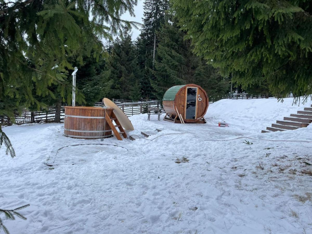 Hotel Floare De Colt Mînăstirea Humorului Exteriér fotografie