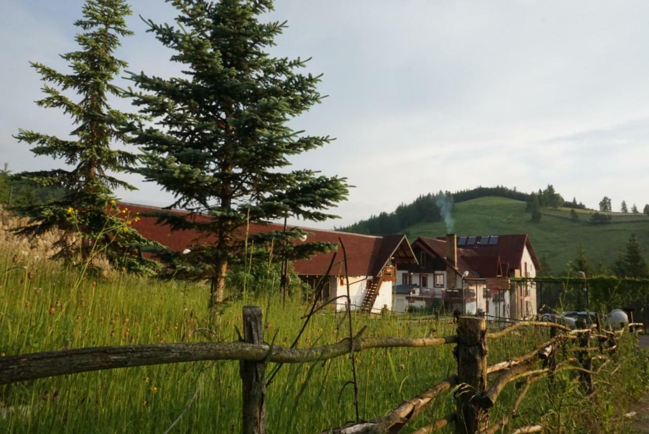 Hotel Floare De Colt Mînăstirea Humorului Exteriér fotografie