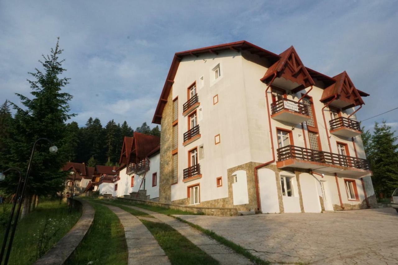 Hotel Floare De Colt Mînăstirea Humorului Exteriér fotografie
